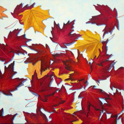 Fall of Fire by Beaman Cole Ceramic Accent & Decor Tile BCA006AT