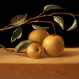 Asian Pears by Frances Poole Ceramic Accent & Decor Tile - FPA009AT