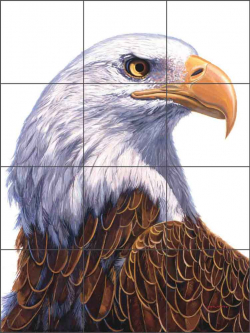 Bald Eagle by Jack White Ceramic Tile Mural JWA001