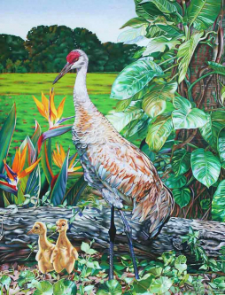 Sandhill Cranes by Nancy Jacey Ceramic Accent & Decor Tile NJ112AT