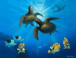 Honu Paradise by Jeff Wilkie Ceramic Accent & Decor Tile POV-JWA017AT