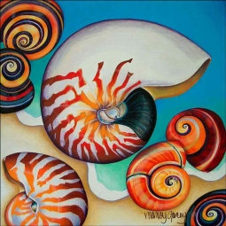 Nautilus by Nancy Jacey Ceramic Accent & Decor Tile CPA-NJ11030AT