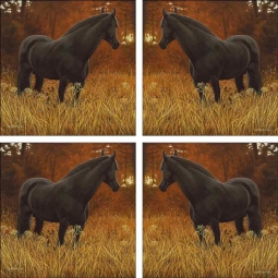 Dark Horse by Liz Mitten Ryan Ceramic Accent & Decor Tile Set - EWH-LMR001AT