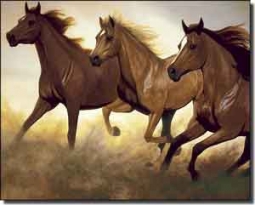 Ryan Horse Equine Ceramic Accent Tile 10" x 8" - EWH-LMR002AT