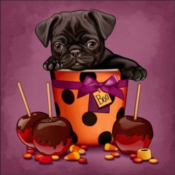 Halloween Puppies 6 by Maryline Cazenave Accent & Decor Tile - MC2-005f