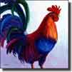 Roosters & Chickens