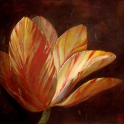 Morning Tulip by Wilder Rich Ceramic Accent & Decor Tile - OB-WR1338AT