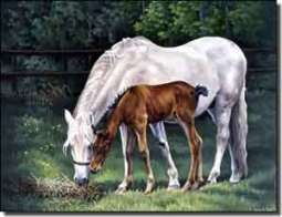 Forget Horses Equine Ceramic Accent Tile 8" x 6"  - RW-VFA009AT