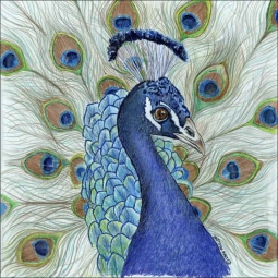 Peacock by Sara Mullen Ceramic Accent & Decor Tile - SM043AT