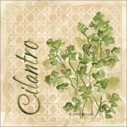 Cilantro by Sara Mullen Ceramic Accent & Decor Tile - SM087AT