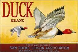 Duck Brand by DP Art Ceramic Tile Mural VLA092